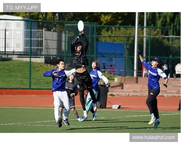 飞盘盛宴：深入了解北京飞盘队的实力与魅力